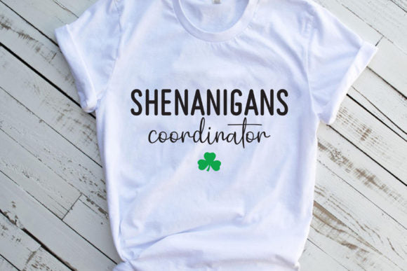 Shenanigans Coordinator
