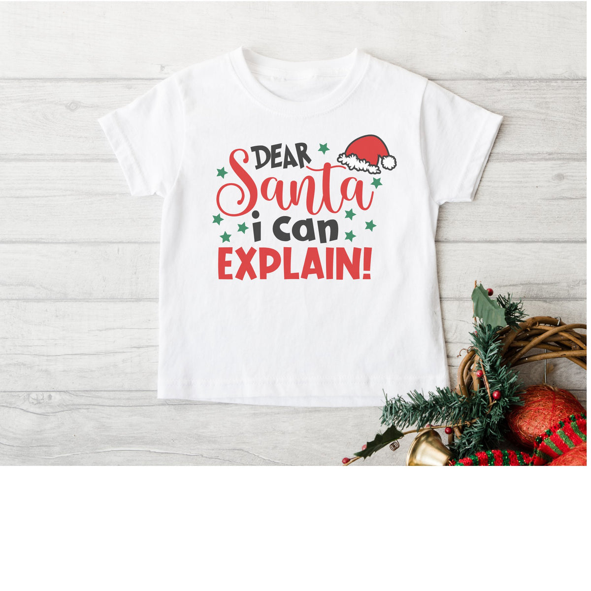 Dear Santa I Can Explain