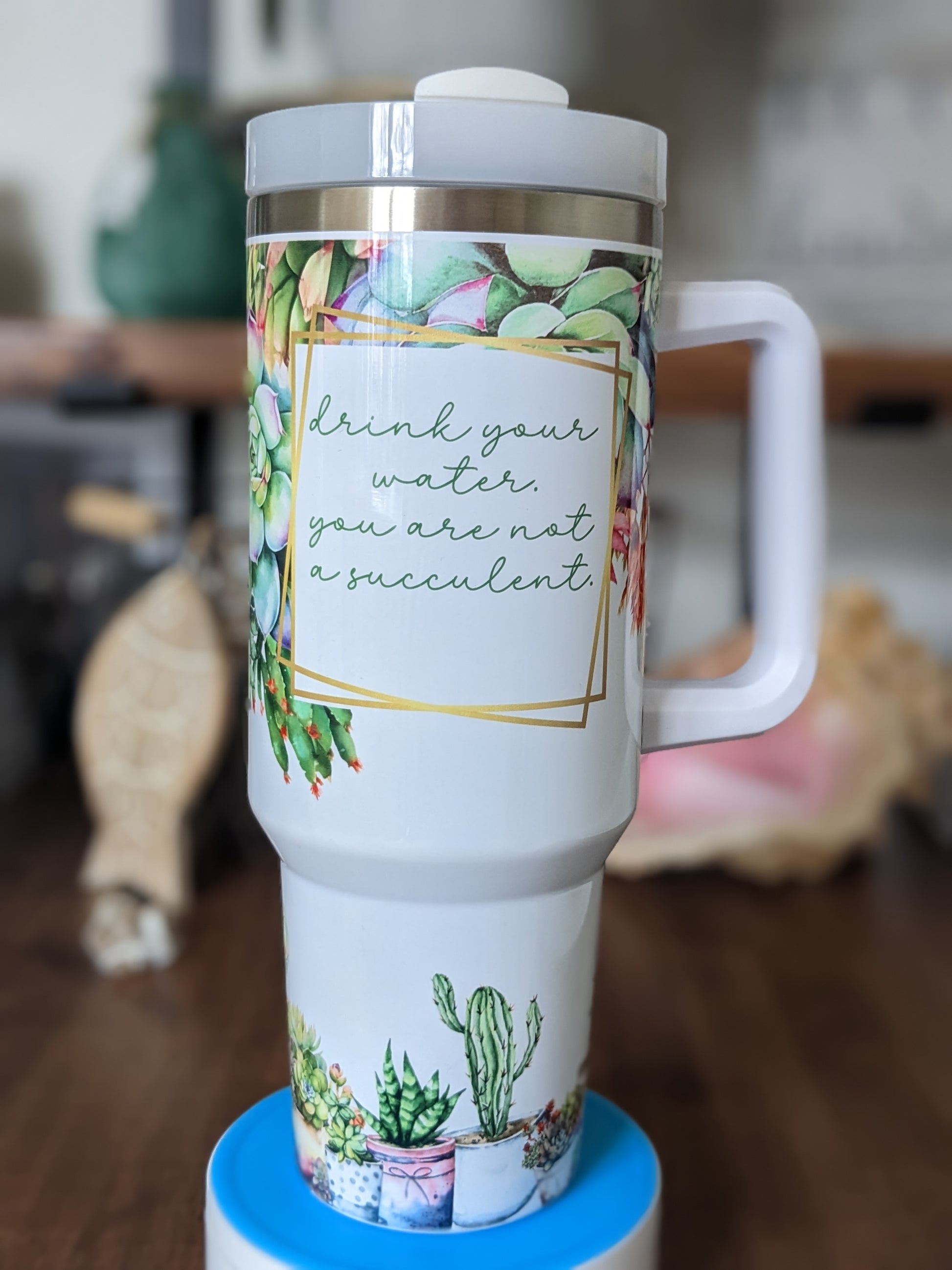 succulent drink Drink Your Water You Are Not a Succulent – 906 Tops and treats