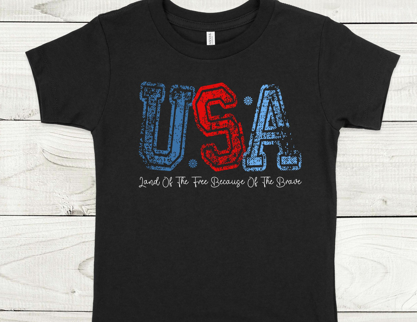 USA Land of the Free