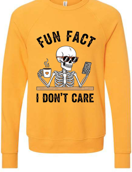Fun Fact I Don't Care
