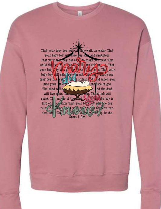 Mary Did You Know (manger)