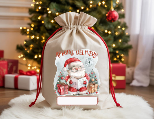 Special Delivery Santa with List