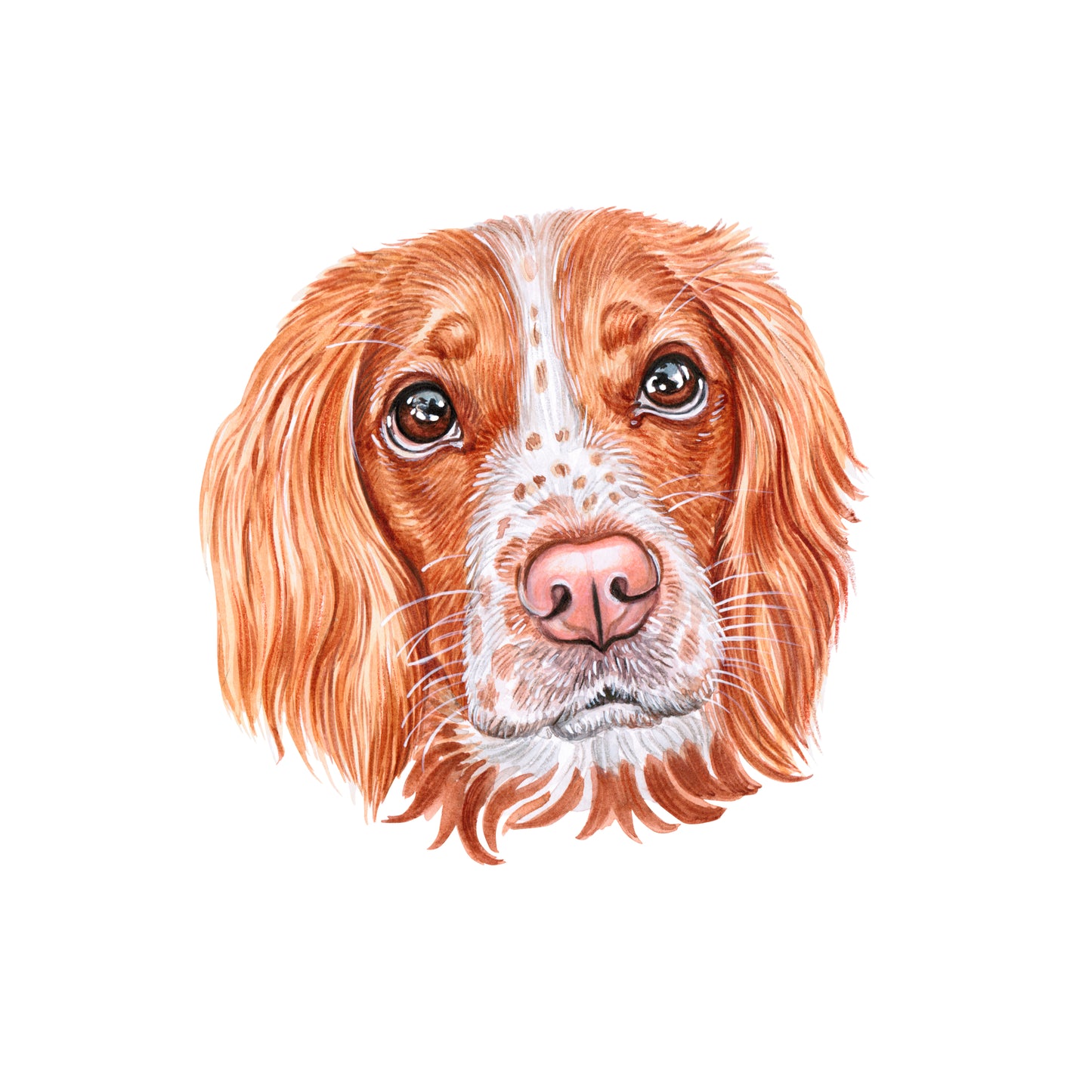 Dog Mama (personalized)